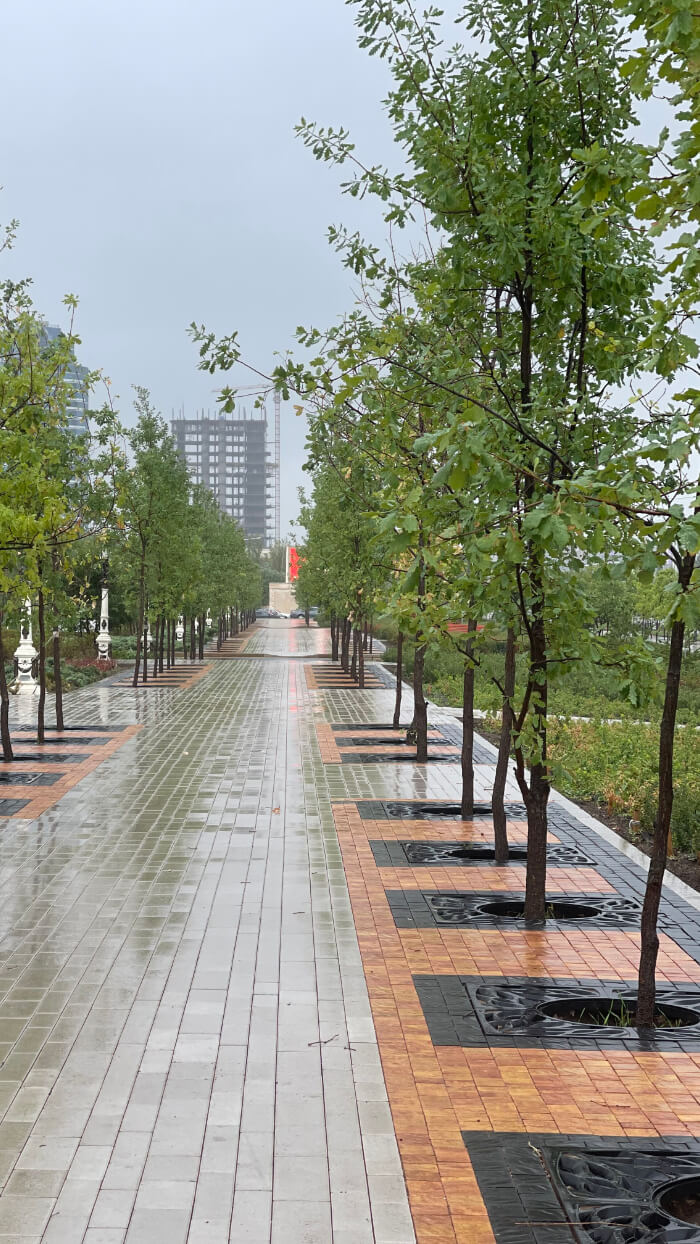 Приствольная решетка для дерева ZKING CRUST 1.2х1.2м Черная в Новошахтинске фото