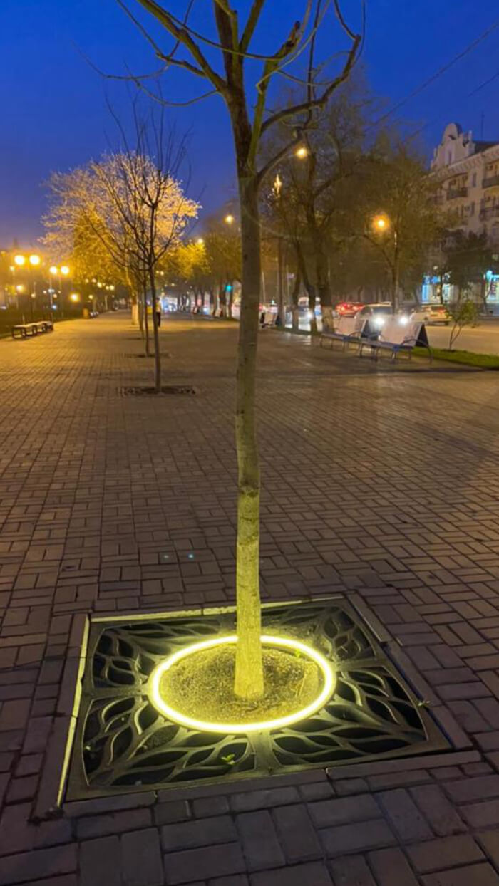 Приствольная решетка для дерева ZKING CRUST 1.2х1.2м Черная в Новошахтинске фото